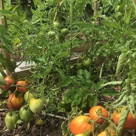 Surf & Kite - Nortada Penzion Charneca (Setubal)