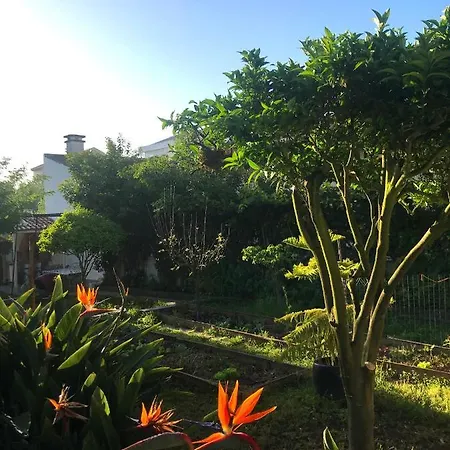 Guest house Surf & Kite - Nortada Charneca (Setubal)