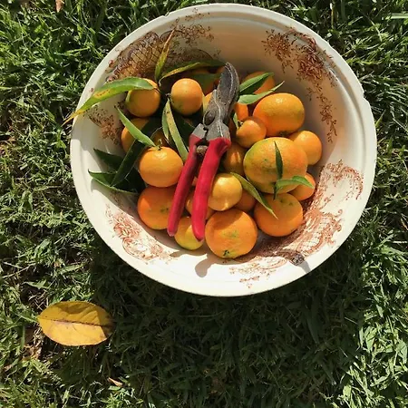 Surf & Kite - Nortada Гостевой дом Шарнека