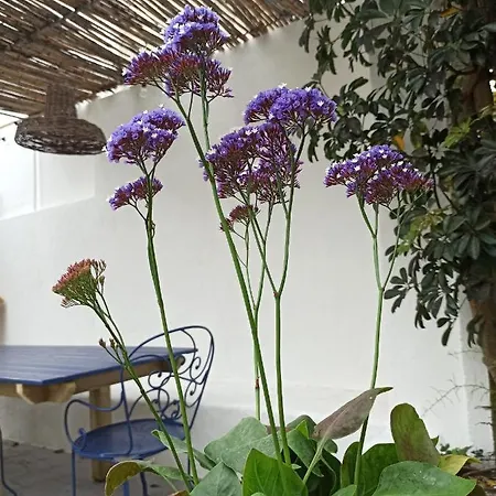 Surf & Kite - Nortada Charneca (Setubal)